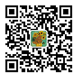 QR 代码
描述已自动生成